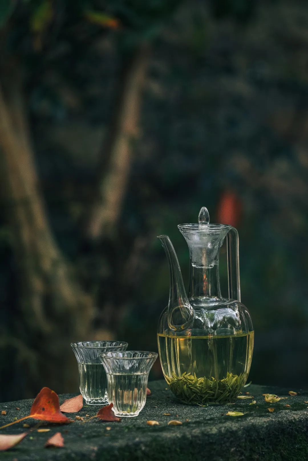 Image related to At China's Top Mountain, Savor the Pungent Fish and Sip the Divine Tea