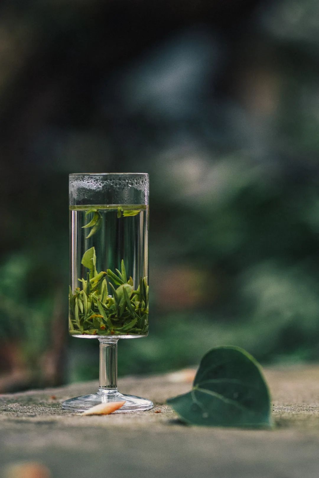 Image related to At China's Top Mountain, Savor the Pungent Fish and Sip the Divine Tea