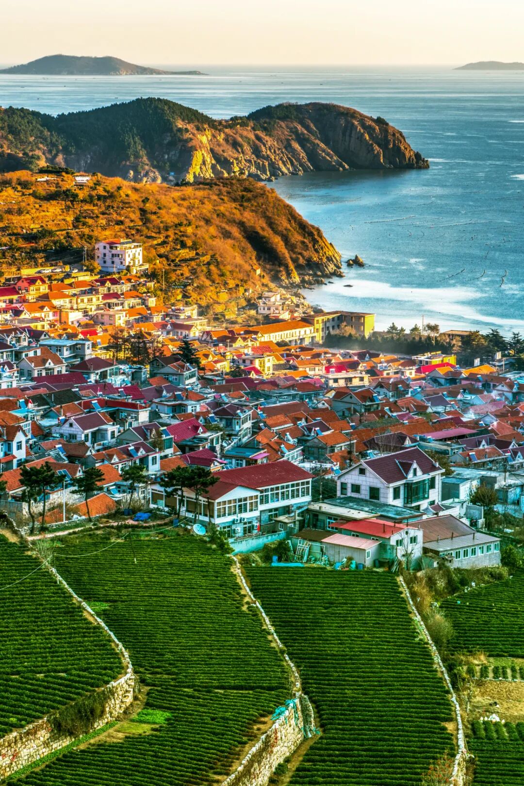 Image related to Not Just China's BBQ Capital: Also the Northernmost Tea-Producing Province!