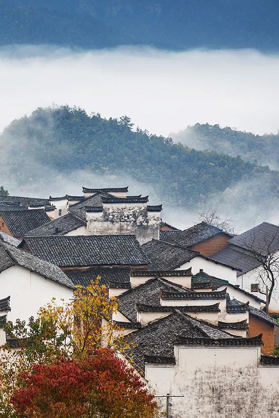 Image related to At China's Top Mountain, Savor the Pungent Fish and Sip the Divine Tea