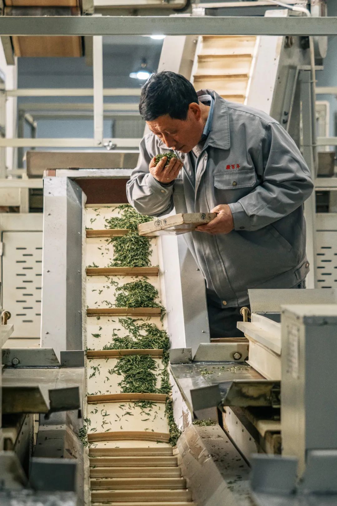 Image related to At China's Top Mountain, Savor the Pungent Fish and Sip the Divine Tea