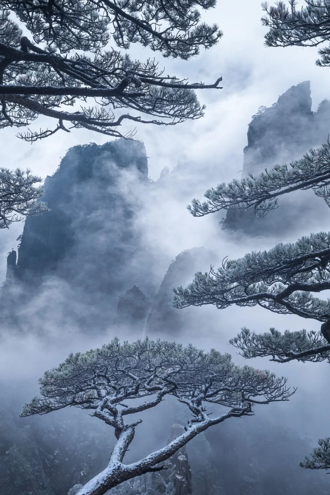 Image related to At China's Top Mountain, Savor the Pungent Fish and Sip the Divine Tea