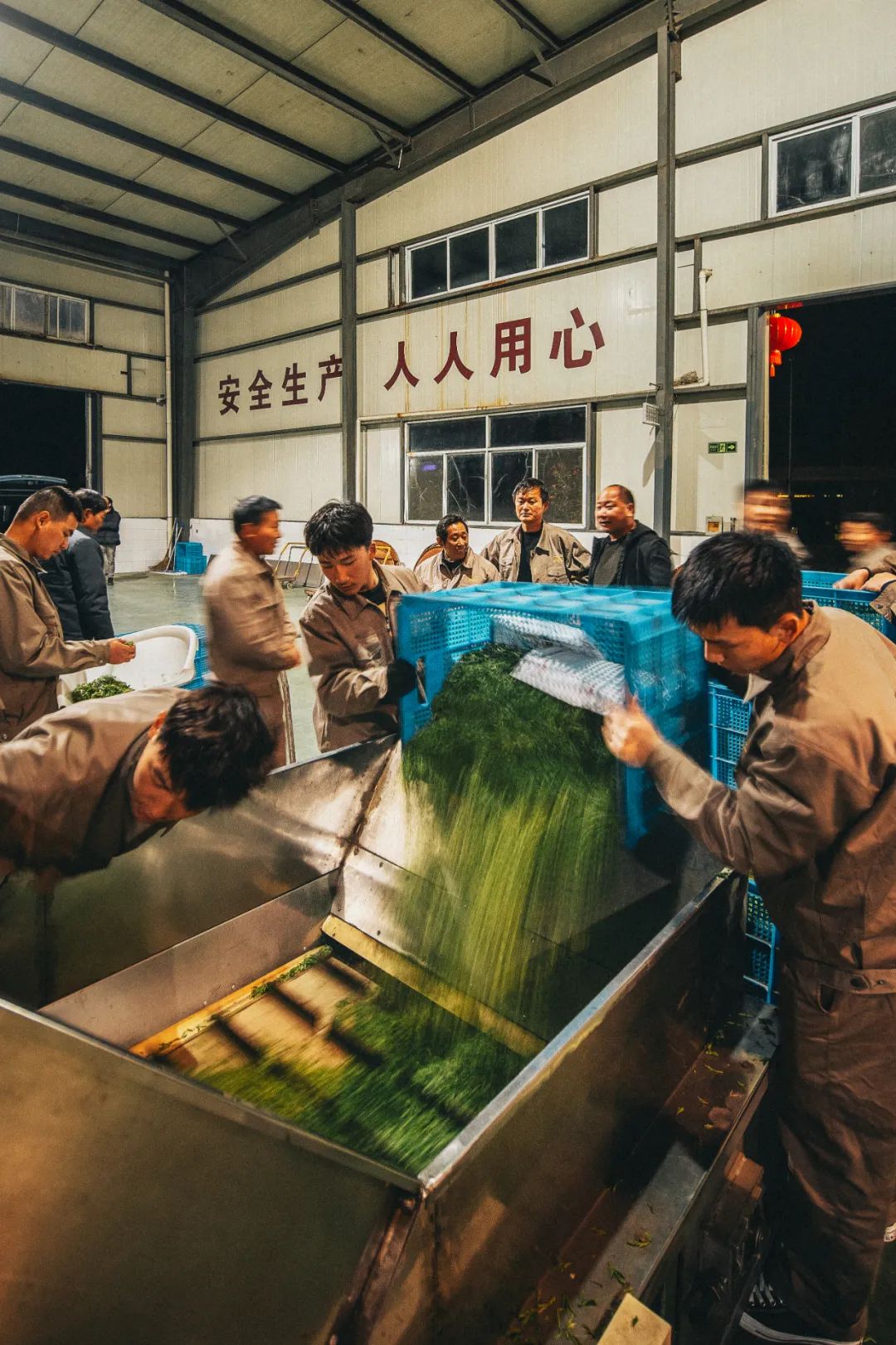 Image related to At China's Top Mountain, Savor the Pungent Fish and Sip the Divine Tea