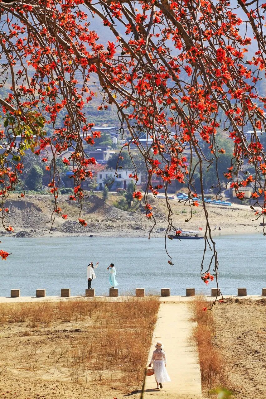 Image related to Panzhihua: China's Most Underrated Winter Paradise – 26°C Sunshine + Floral Bliss, the Ultimate Dream Escape