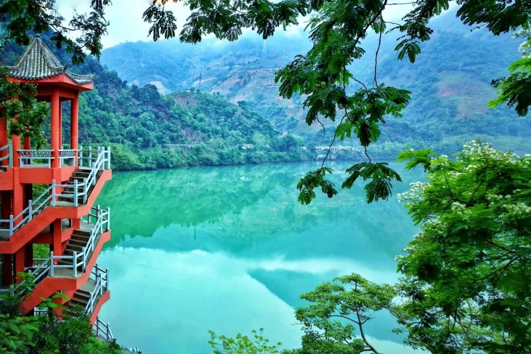 Image related to Panzhihua: China's Most Underrated Winter Paradise – 26°C Sunshine + Floral Bliss, the Ultimate Dream Escape