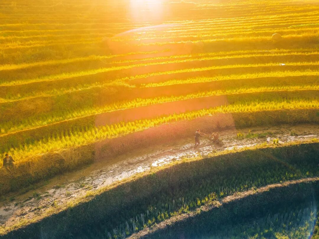 Image related to Panzhihua: China's Most Underrated Winter Paradise – 26°C Sunshine + Floral Bliss, the Ultimate Dream Escape