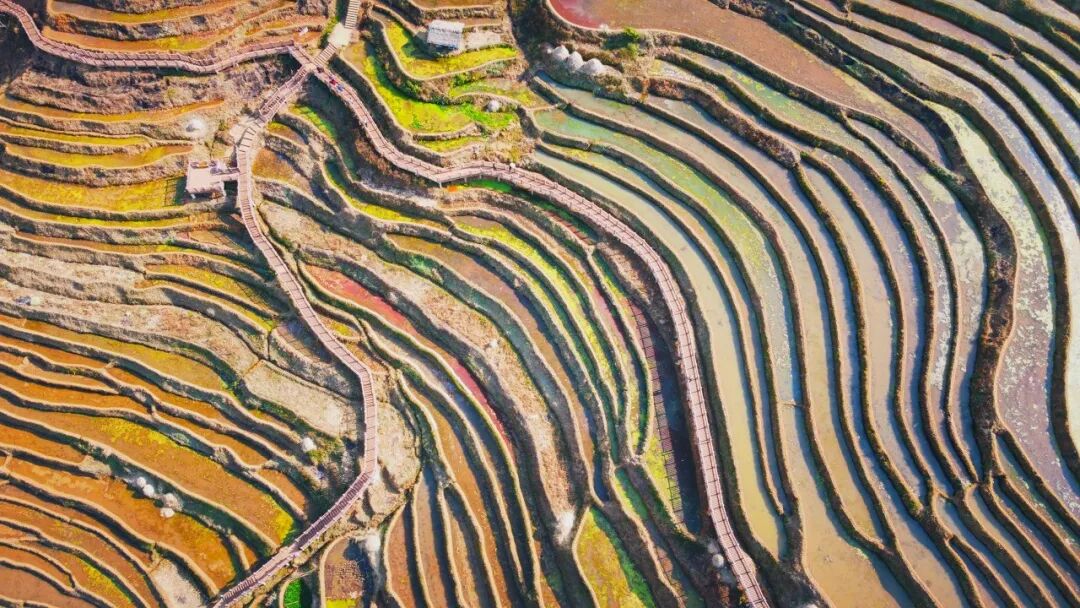 Image related to Panzhihua: China's Most Underrated Winter Paradise – 26°C Sunshine + Floral Bliss, the Ultimate Dream Escape