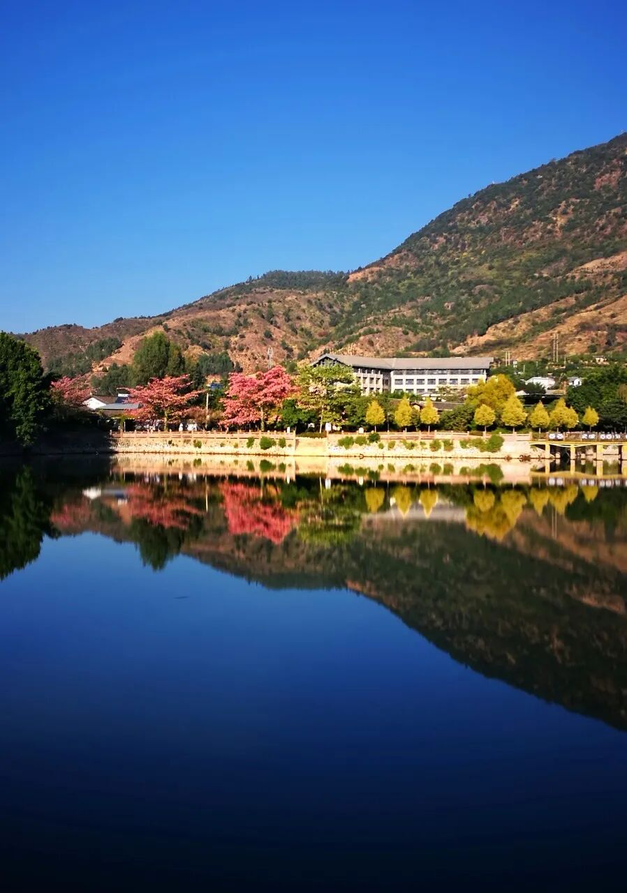 Image related to Panzhihua: China's Most Underrated Winter Paradise – 26°C Sunshine + Floral Bliss, the Ultimate Dream Escape