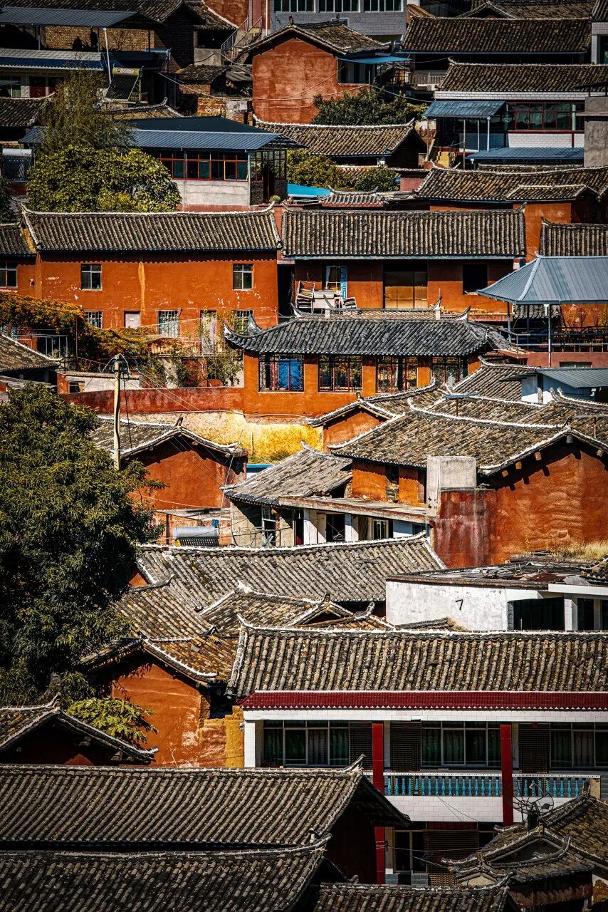 Image related to Panzhihua: China's Most Underrated Winter Paradise – 26°C Sunshine + Floral Bliss, the Ultimate Dream Escape