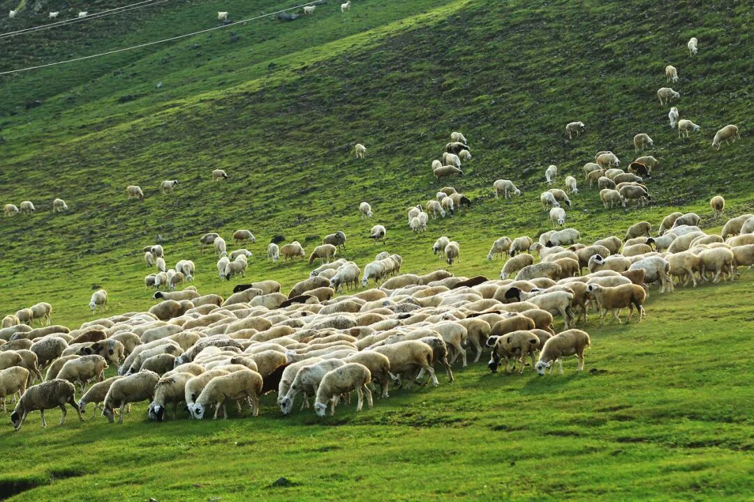 Image related to Arshan, Inner Mongolia: China's Most Enchanting Frontier Town