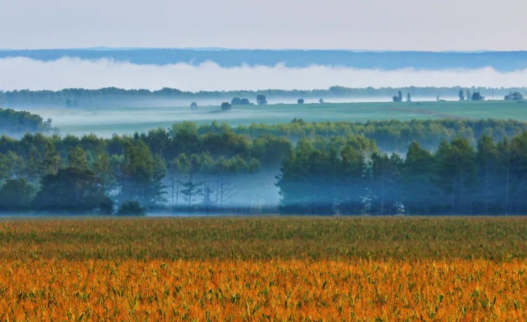 Image related to Heihe: The Enigmatic Border Town Where Volcanic Hot Springs Meet European Charm