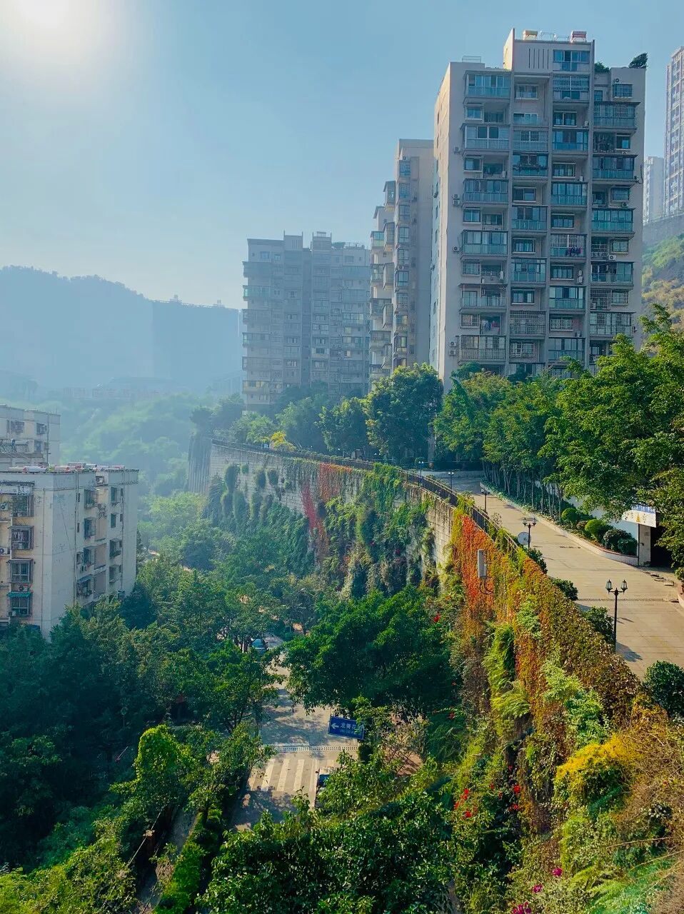 Image related to Panzhihua: China's Most Underrated Winter Paradise – 26°C Sunshine + Floral Bliss, the Ultimate Dream Escape