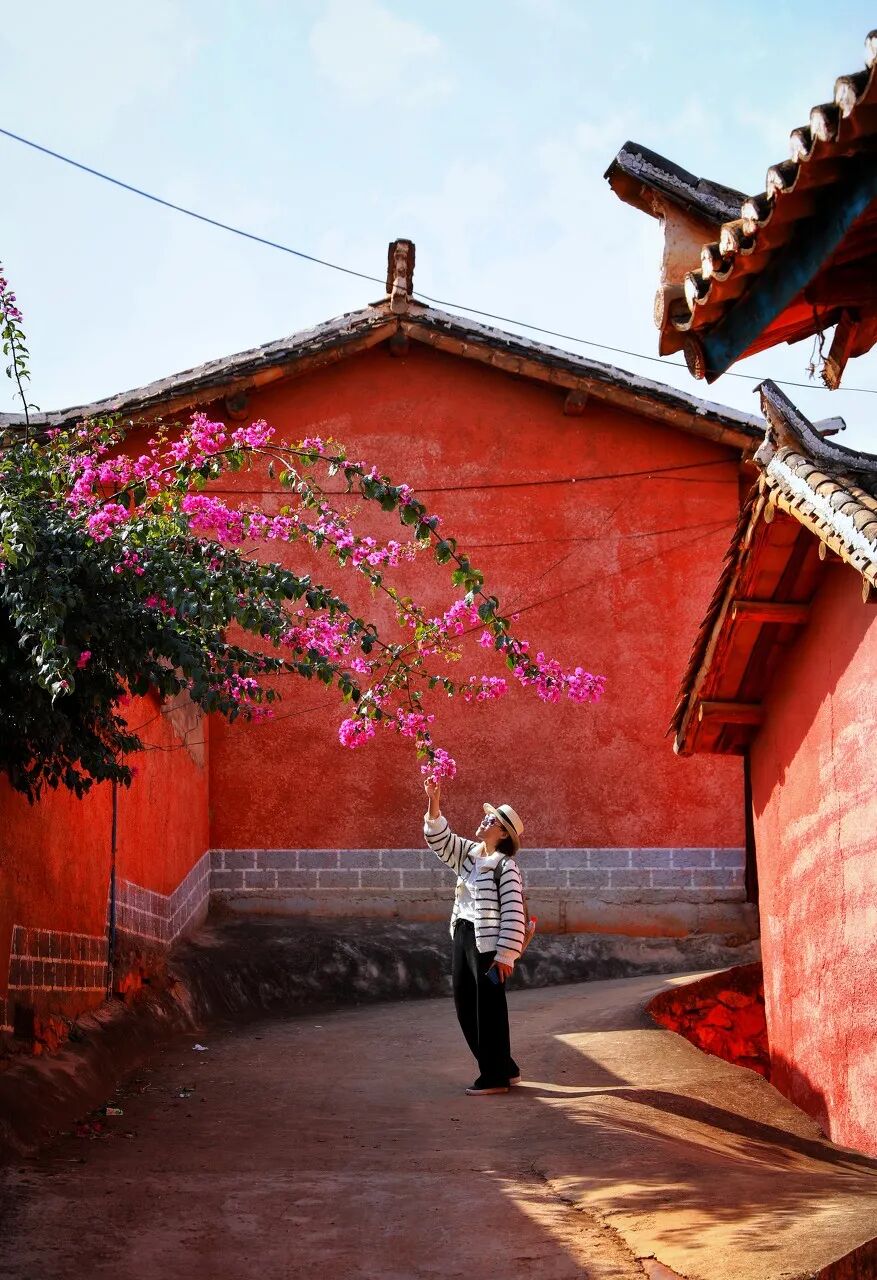 Image related to Panzhihua: China's Most Underrated Winter Paradise – 26°C Sunshine + Floral Bliss, the Ultimate Dream Escape