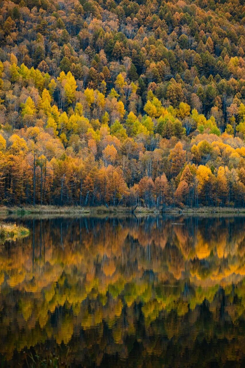 Image related to Arshan, Inner Mongolia: China's Most Enchanting Frontier Town