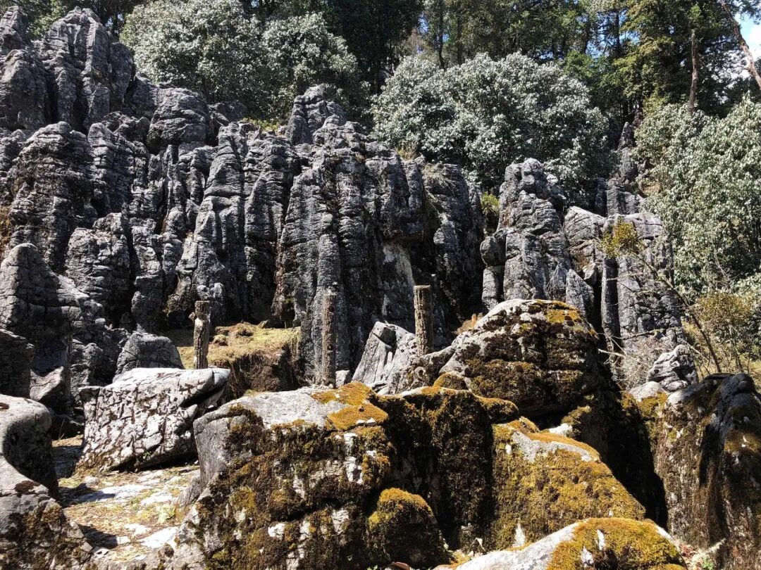 Image related to Panzhihua: China's Most Underrated Winter Paradise – 26°C Sunshine + Floral Bliss, the Ultimate Dream Escape