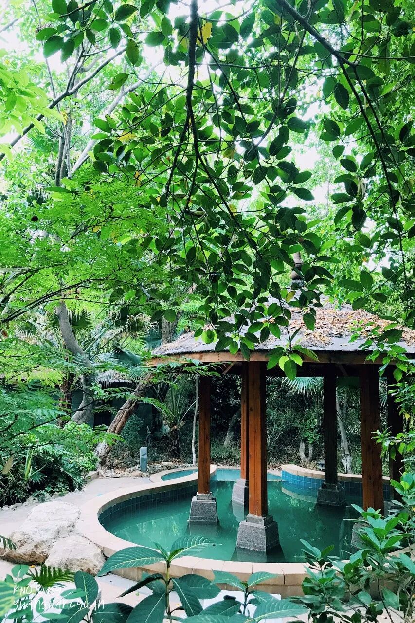 Image related to Panzhihua: China's Most Underrated Winter Paradise – 26°C Sunshine + Floral Bliss, the Ultimate Dream Escape