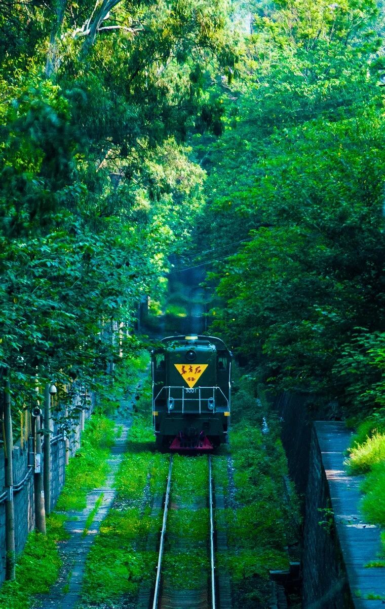 Image related to Panzhihua: China's Most Underrated Winter Paradise – 26°C Sunshine + Floral Bliss, the Ultimate Dream Escape
