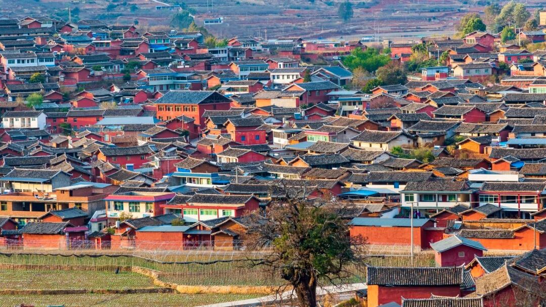 Image related to Panzhihua: China's Most Underrated Winter Paradise – 26°C Sunshine + Floral Bliss, the Ultimate Dream Escape