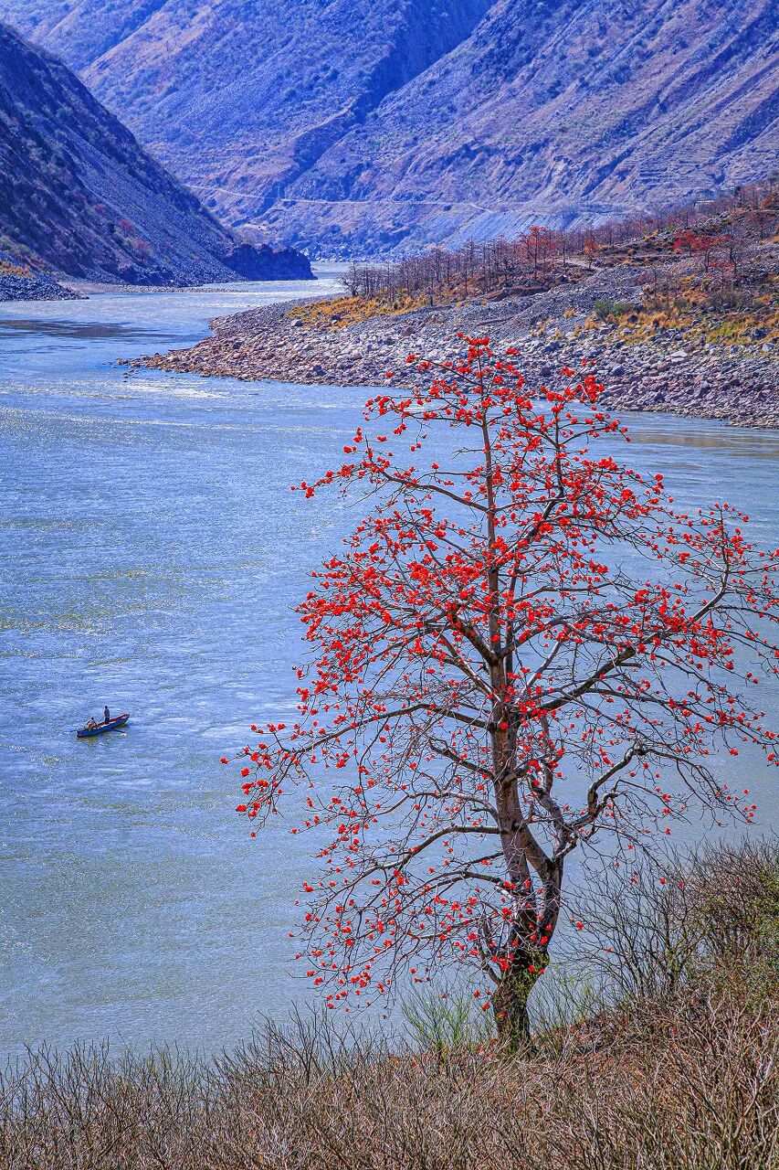 Image related to Panzhihua: China's Most Underrated Winter Paradise – 26°C Sunshine + Floral Bliss, the Ultimate Dream Escape