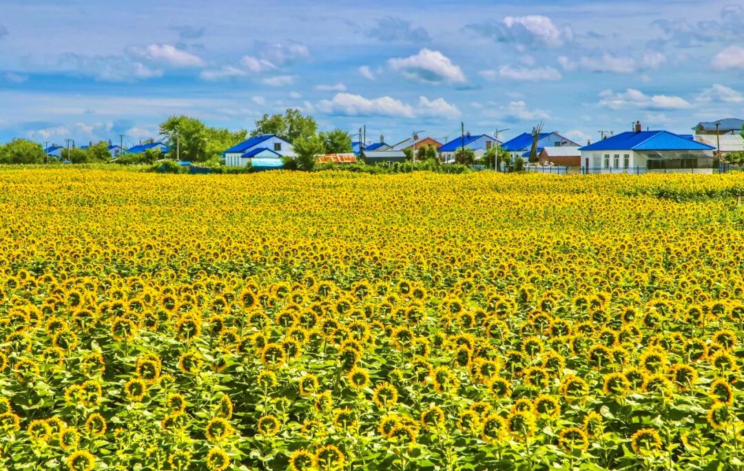 Image related to Heihe: The Enigmatic Border Town Where Volcanic Hot Springs Meet European Charm