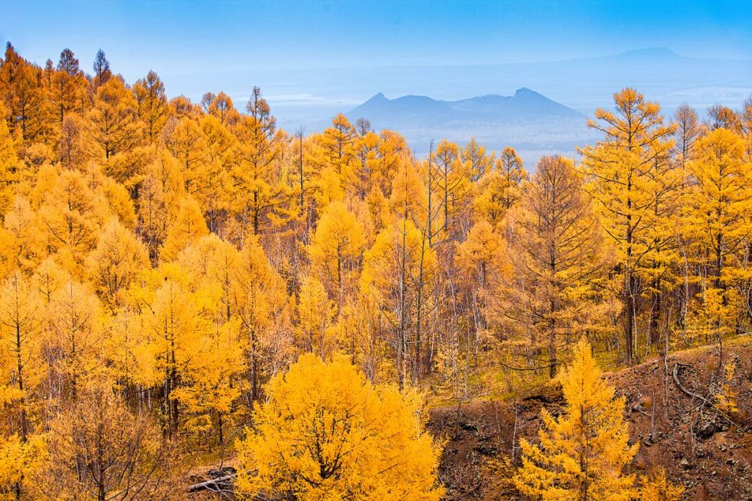 Image related to Heihe: The Enigmatic Border Town Where Volcanic Hot Springs Meet European Charm