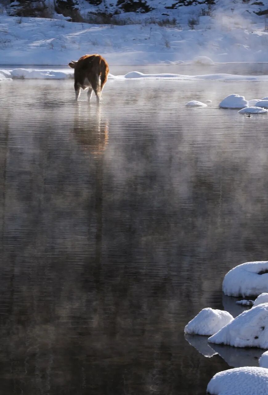 Image related to Arshan, Inner Mongolia: China's Most Enchanting Frontier Town