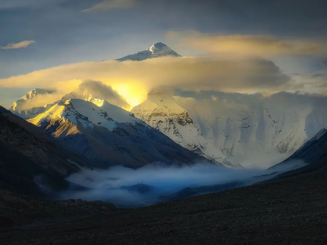 Image related to Salute to the Rebirth of All Life! 2022 China Wildlife Photography Awards Unveils 19 Stunning Categories!
