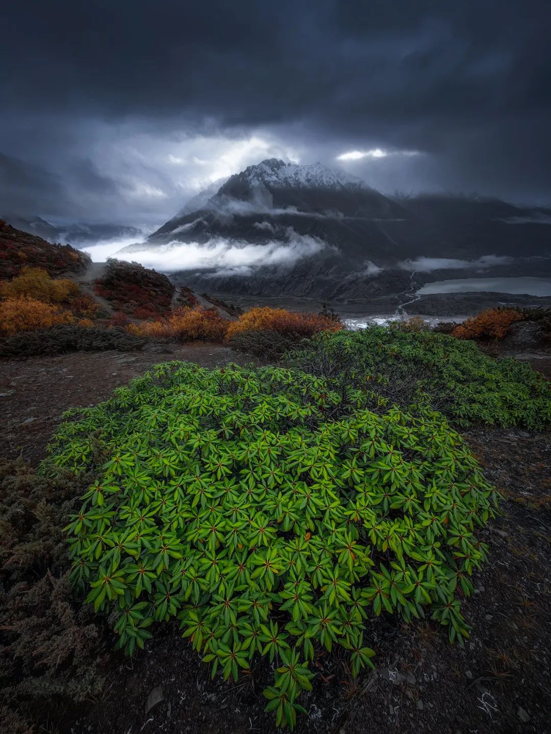 Image related to Salute to the Rebirth of All Life! 2022 China Wildlife Photography Awards Unveils 19 Stunning Categories!