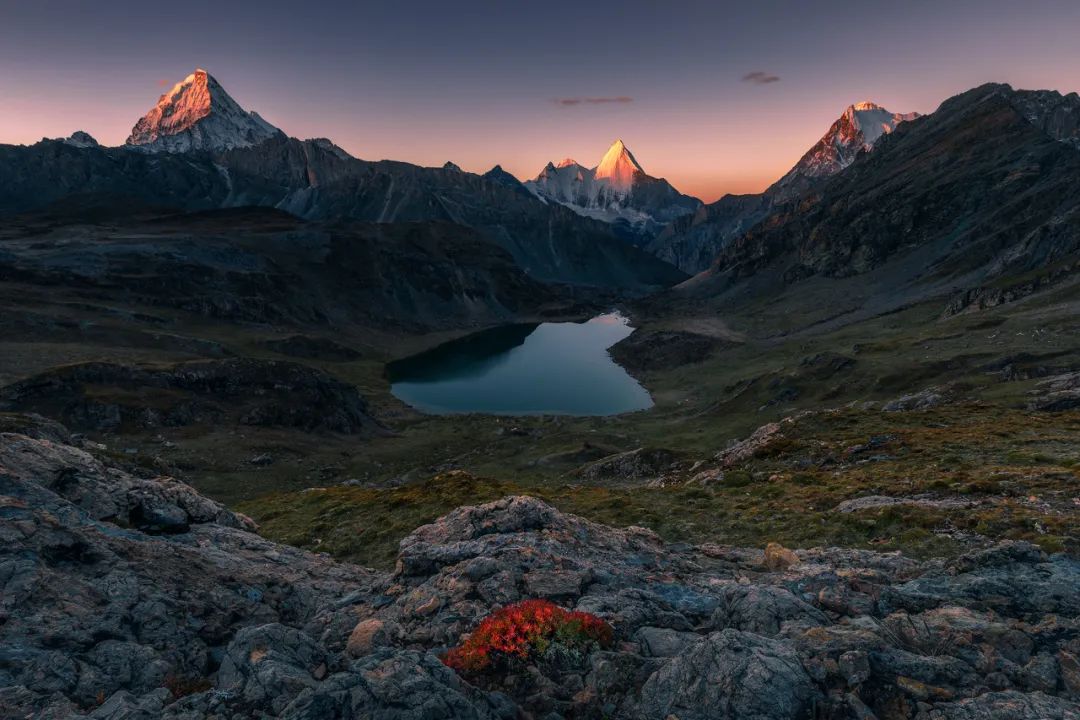 Image related to Salute to the Rebirth of All Life! 2022 China Wildlife Photography Awards Unveils 19 Stunning Categories!