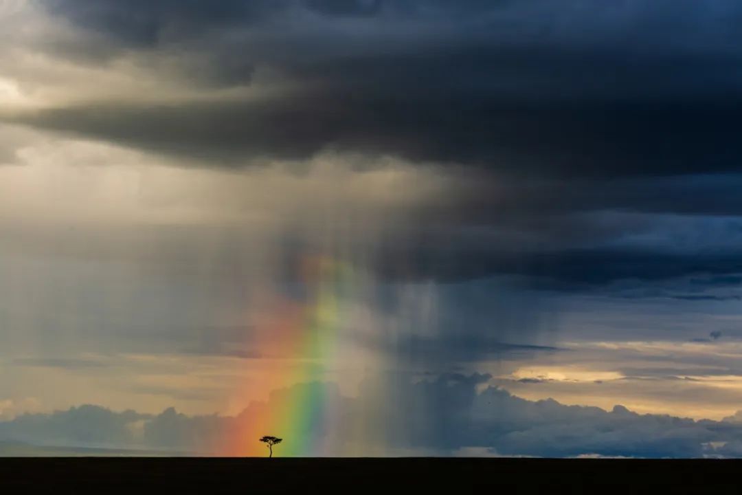 Image related to Salute to the Rebirth of All Life! 2022 China Wildlife Photography Awards Unveils 19 Stunning Categories!