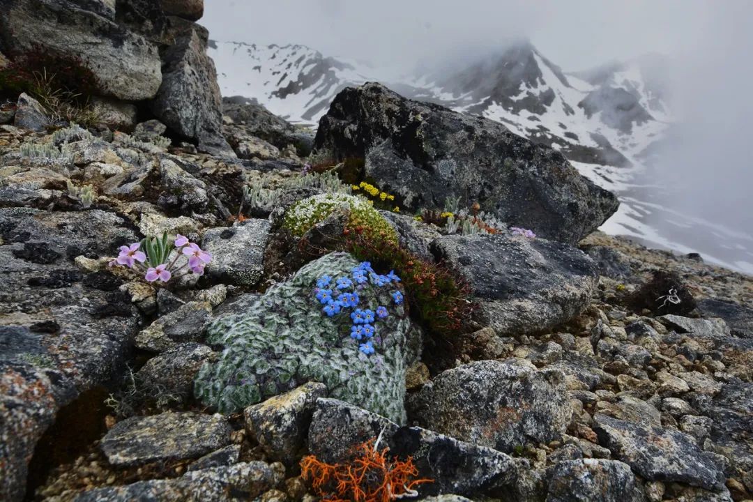 Image related to Salute to the Rebirth of All Life! 2022 China Wildlife Photography Awards Unveils 19 Stunning Categories!