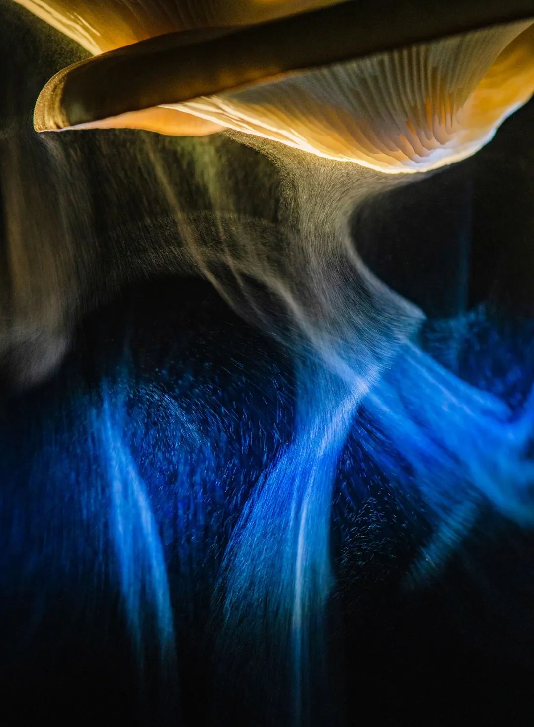 Image related to Salute to the Rebirth of All Life! 2022 China Wildlife Photography Awards Unveils 19 Stunning Categories!