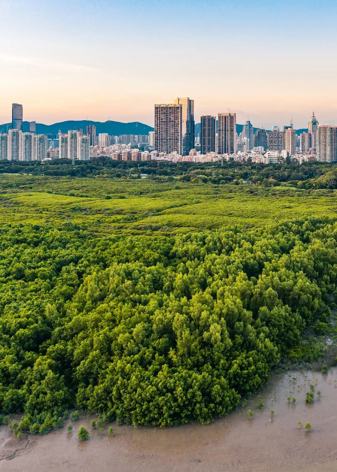 Image related to Why Is Futian the Center of Shenzhen?