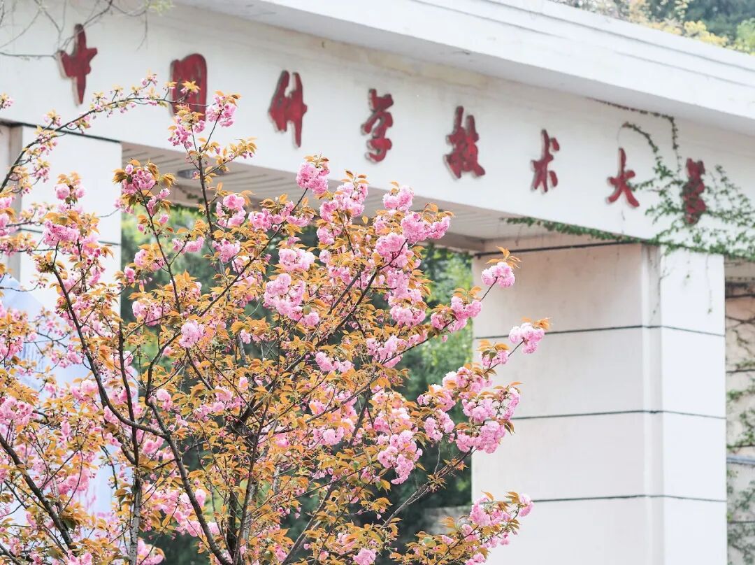 Image related to What Is Hefei?