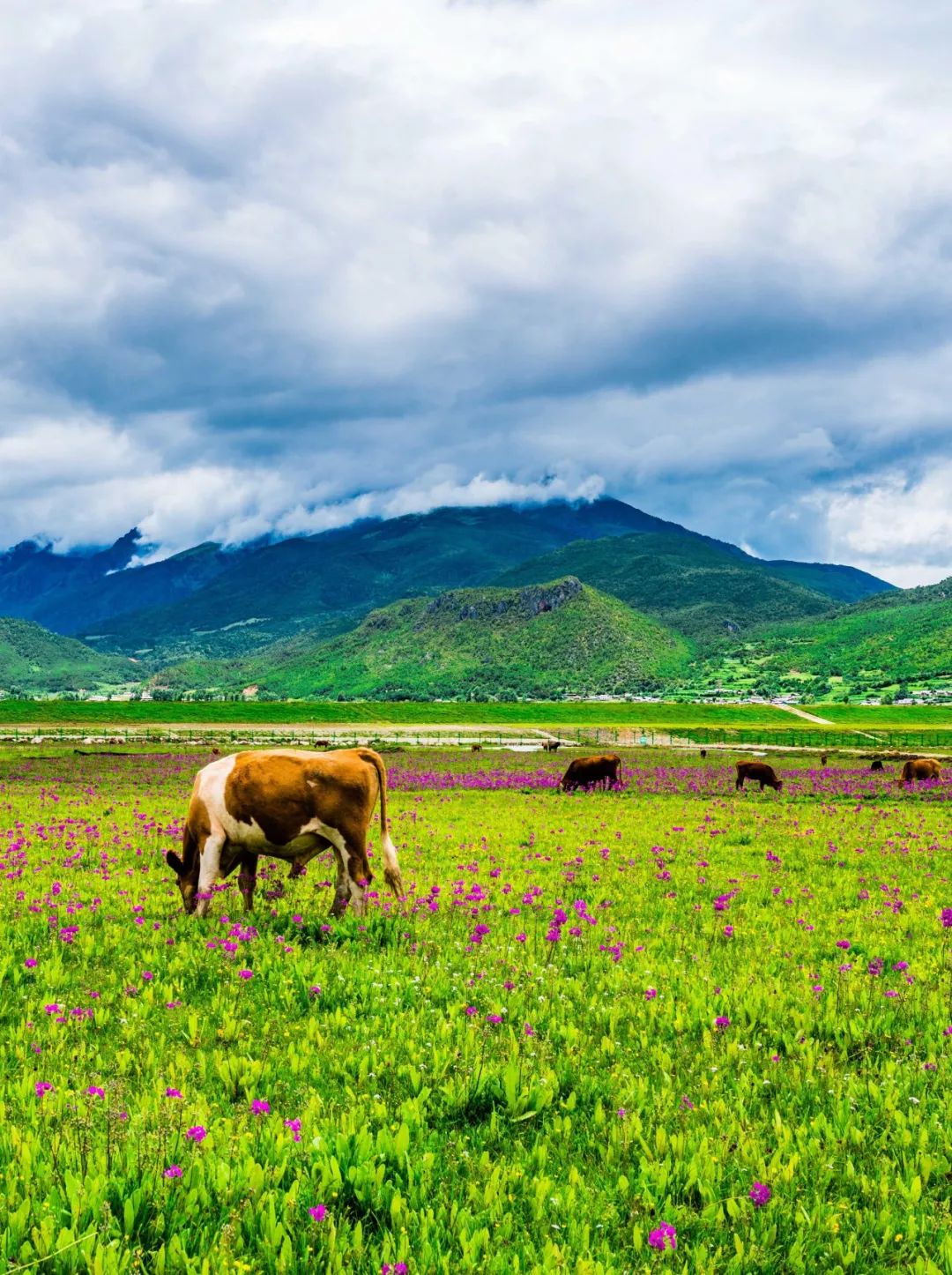 Image related to What is Yunnan?