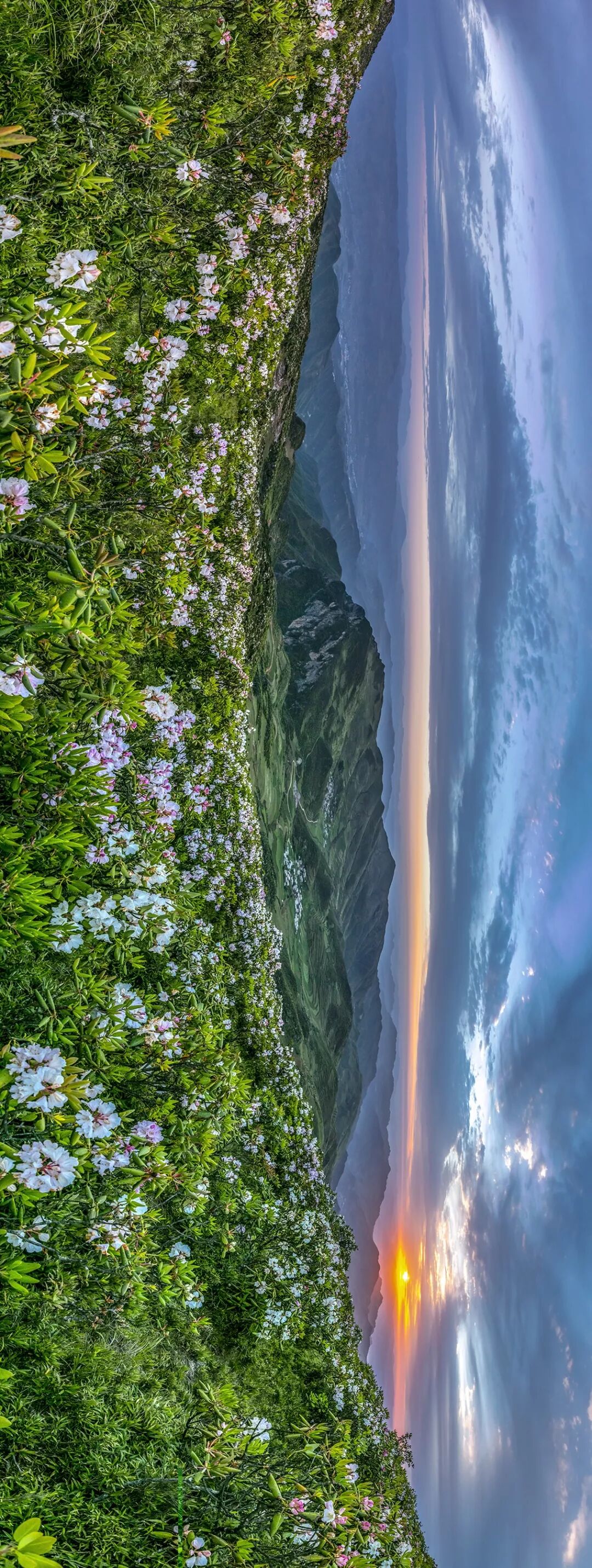 Image related to What is Yunnan?