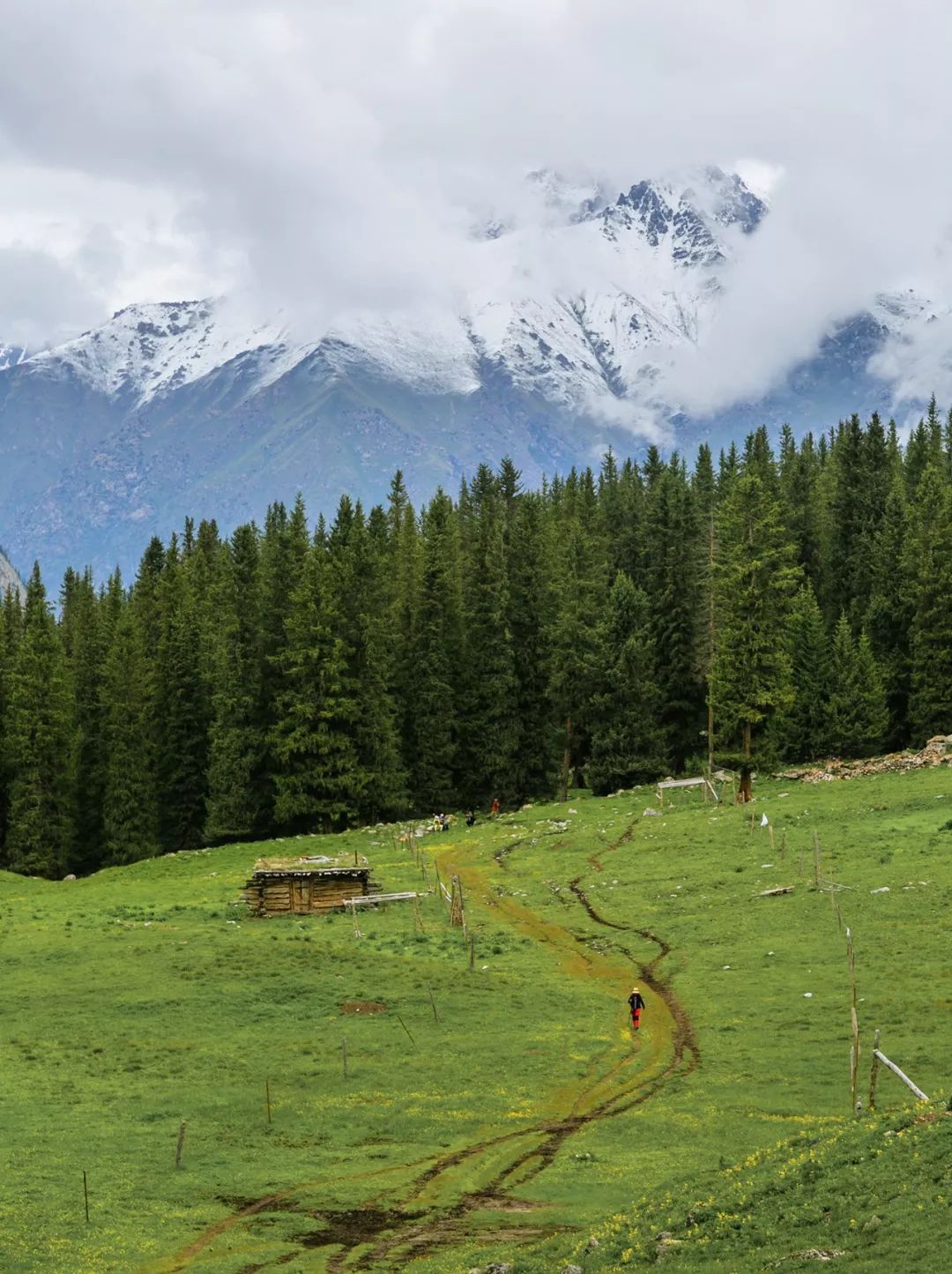 Image related to I Wanna Climb to the Sky... Mountain
