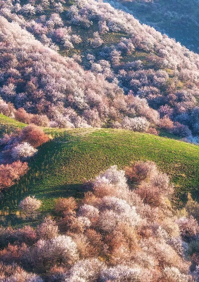 Image related to I Wanna Climb to the Sky... Mountain