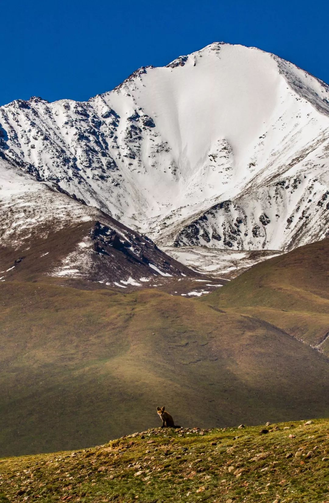 Image related to I Wanna Climb to the Sky... Mountain