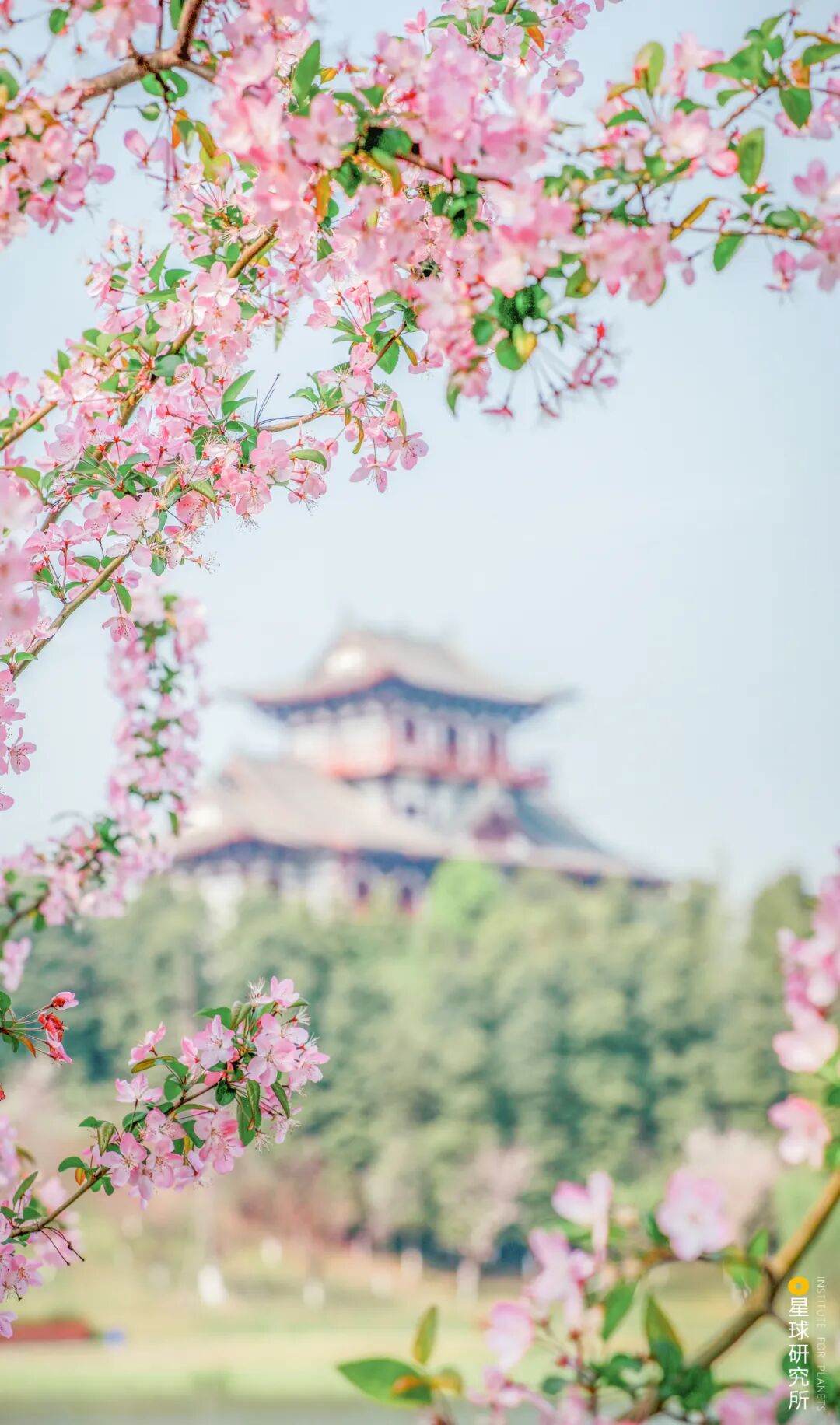 Image related to Qingbaijiang: Another Gateway from Chengdu to the World