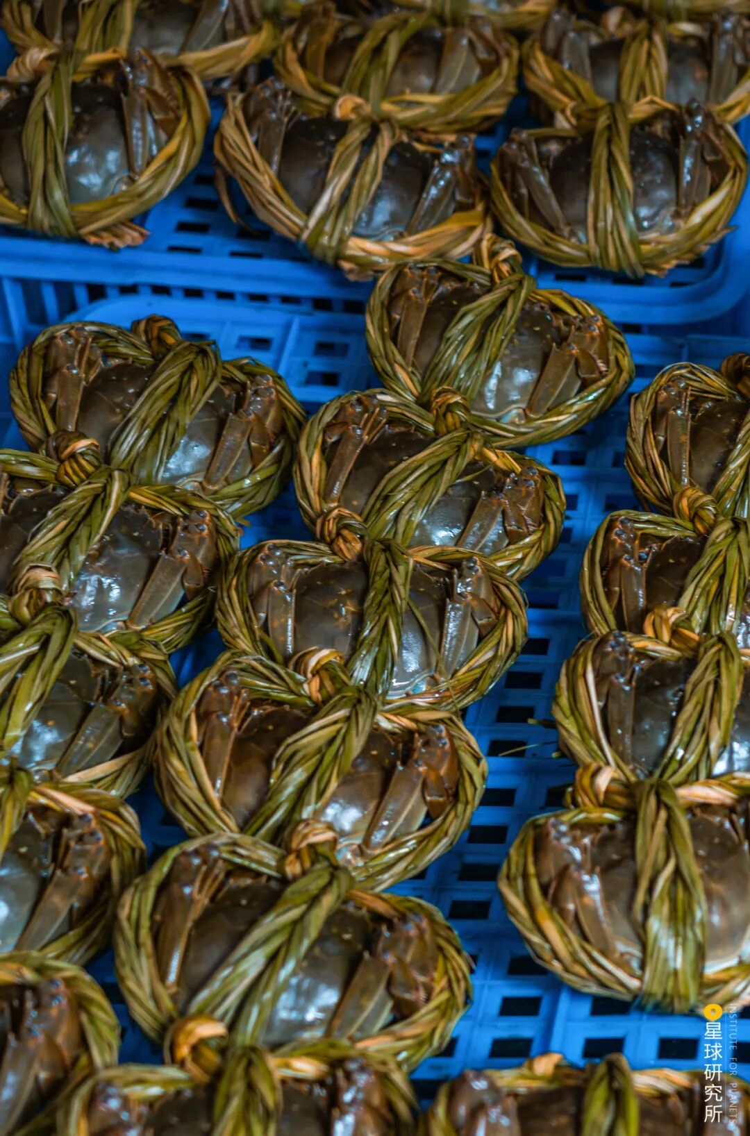 Image related to Why Gaochun, Nanjing Is Worth a Visit