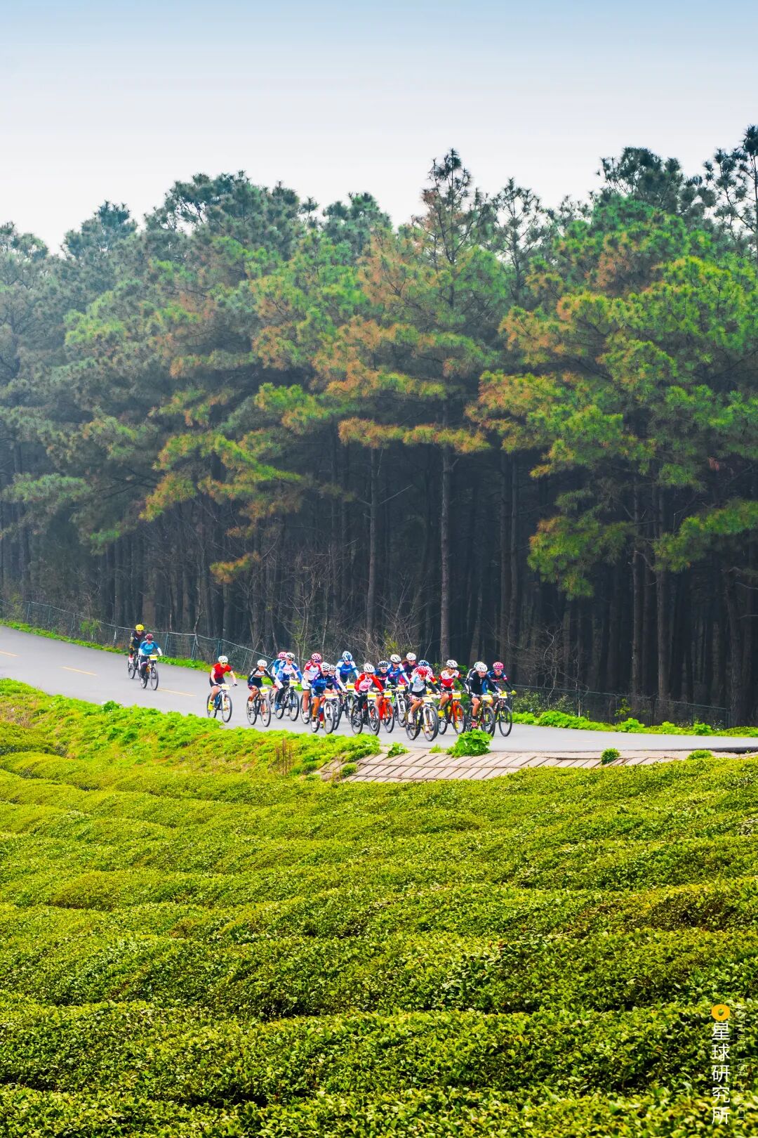 Image related to Why Gaochun, Nanjing Is Worth a Visit