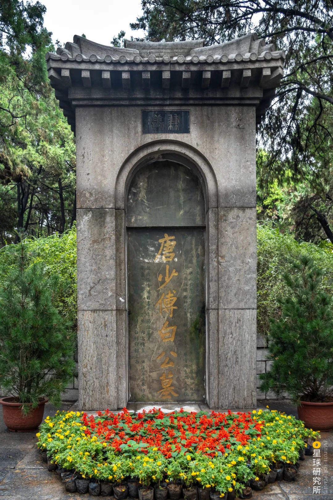 Image related to Luoyang! Luoyang!