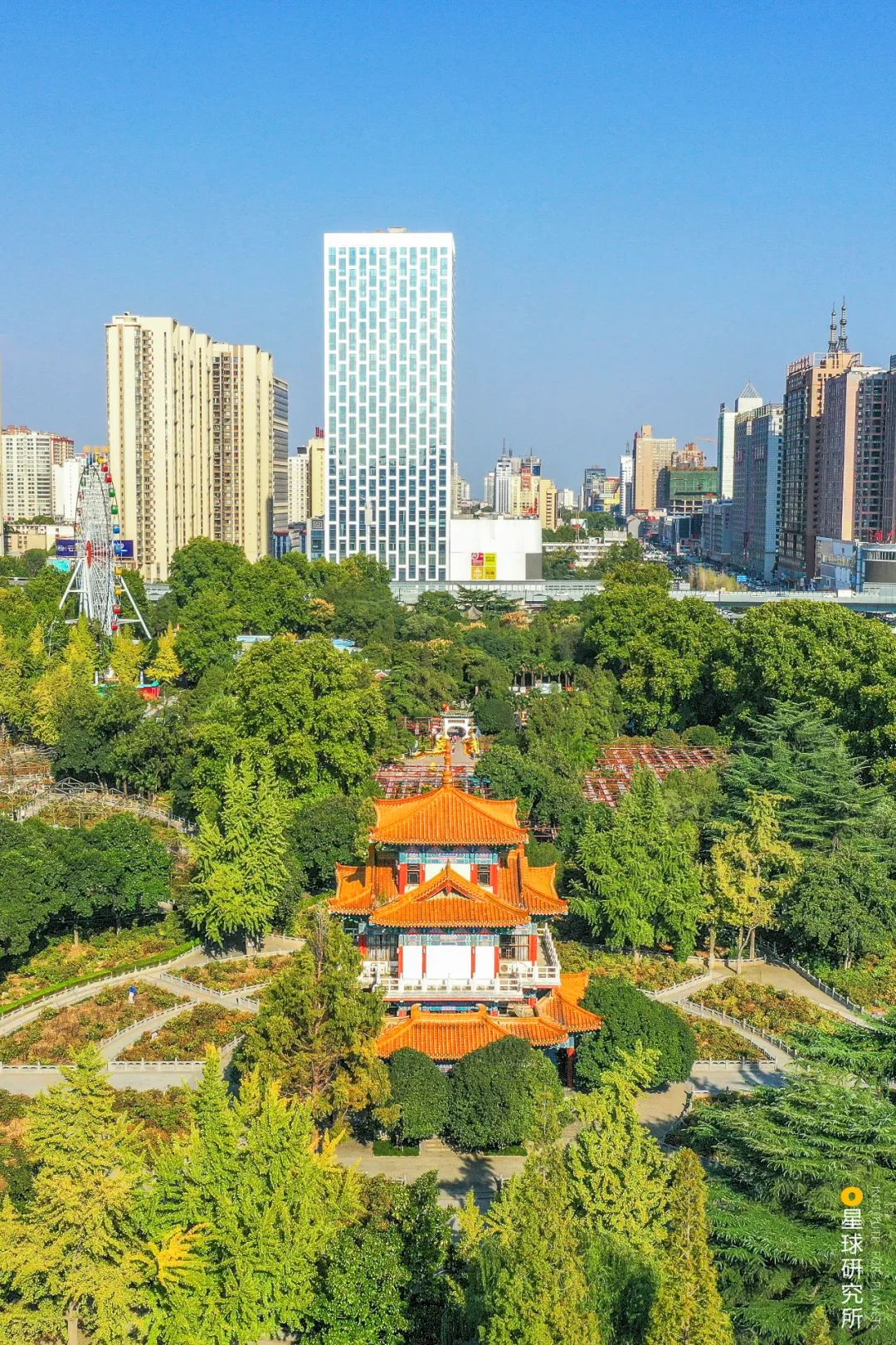 Image related to Luoyang! Luoyang!