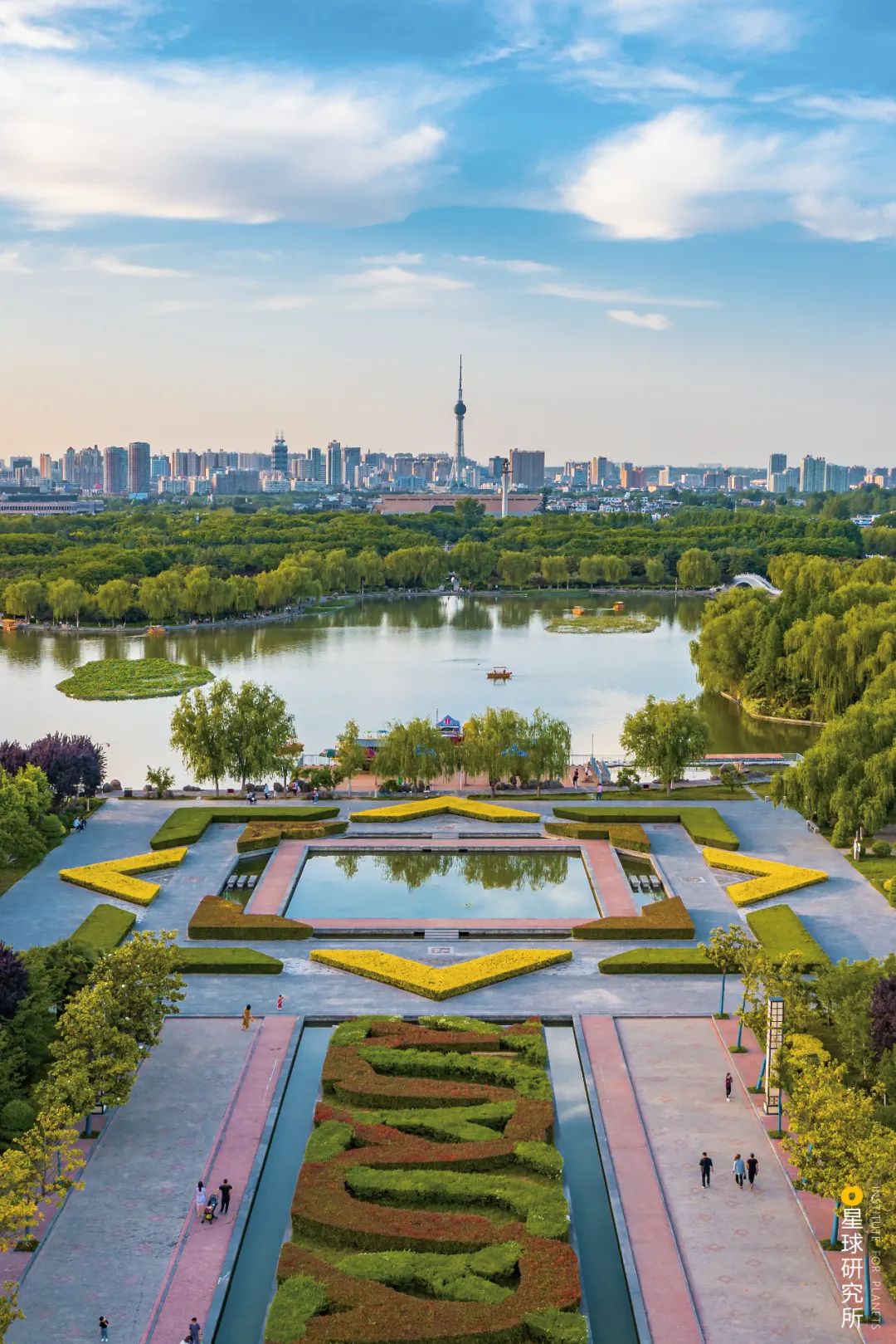 Image related to Luoyang! Luoyang!
