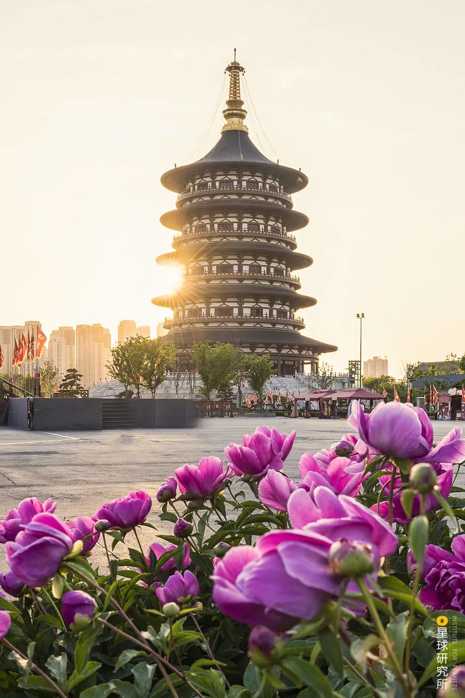 Image related to Luoyang! Luoyang!