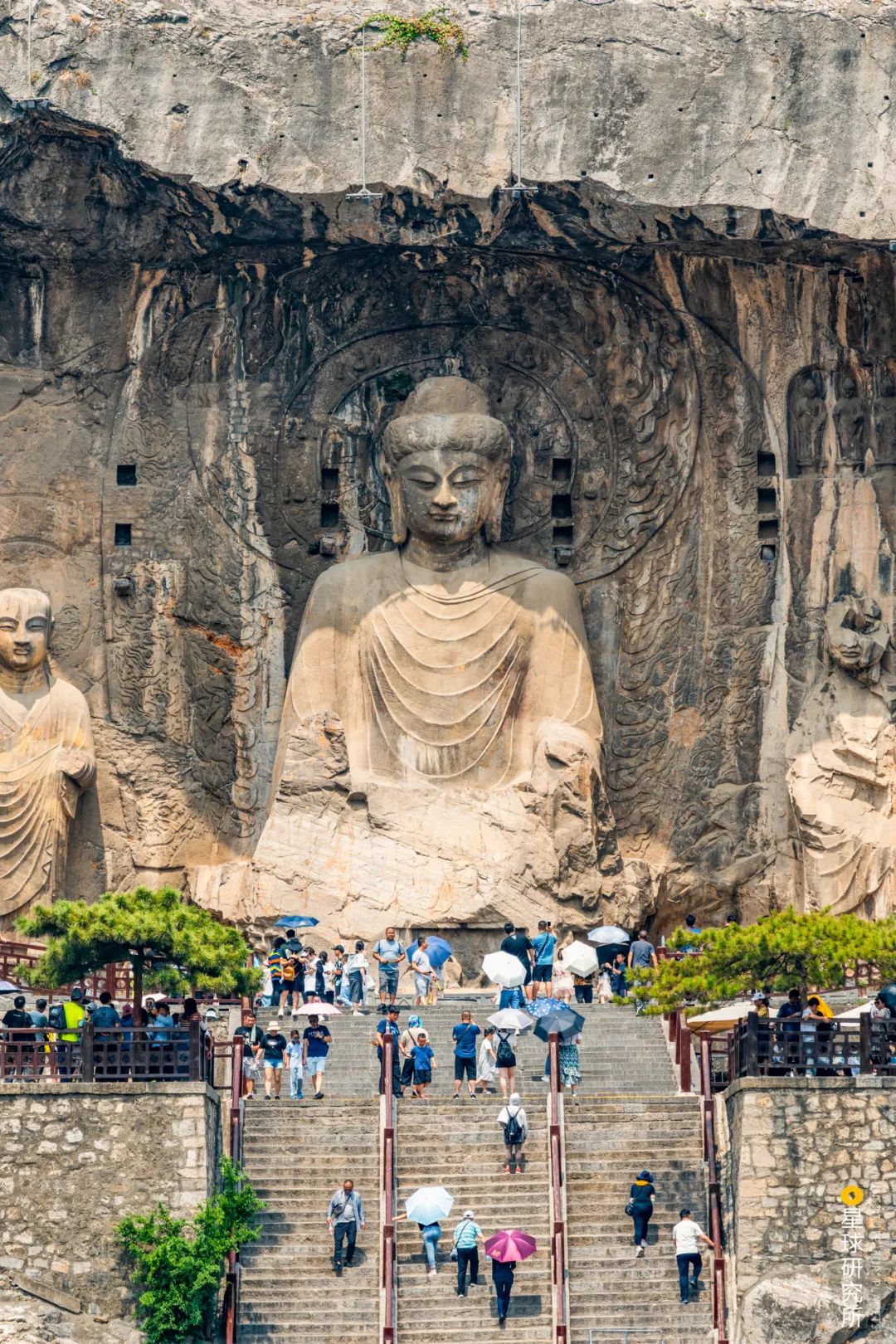 Image related to Luoyang! Luoyang!