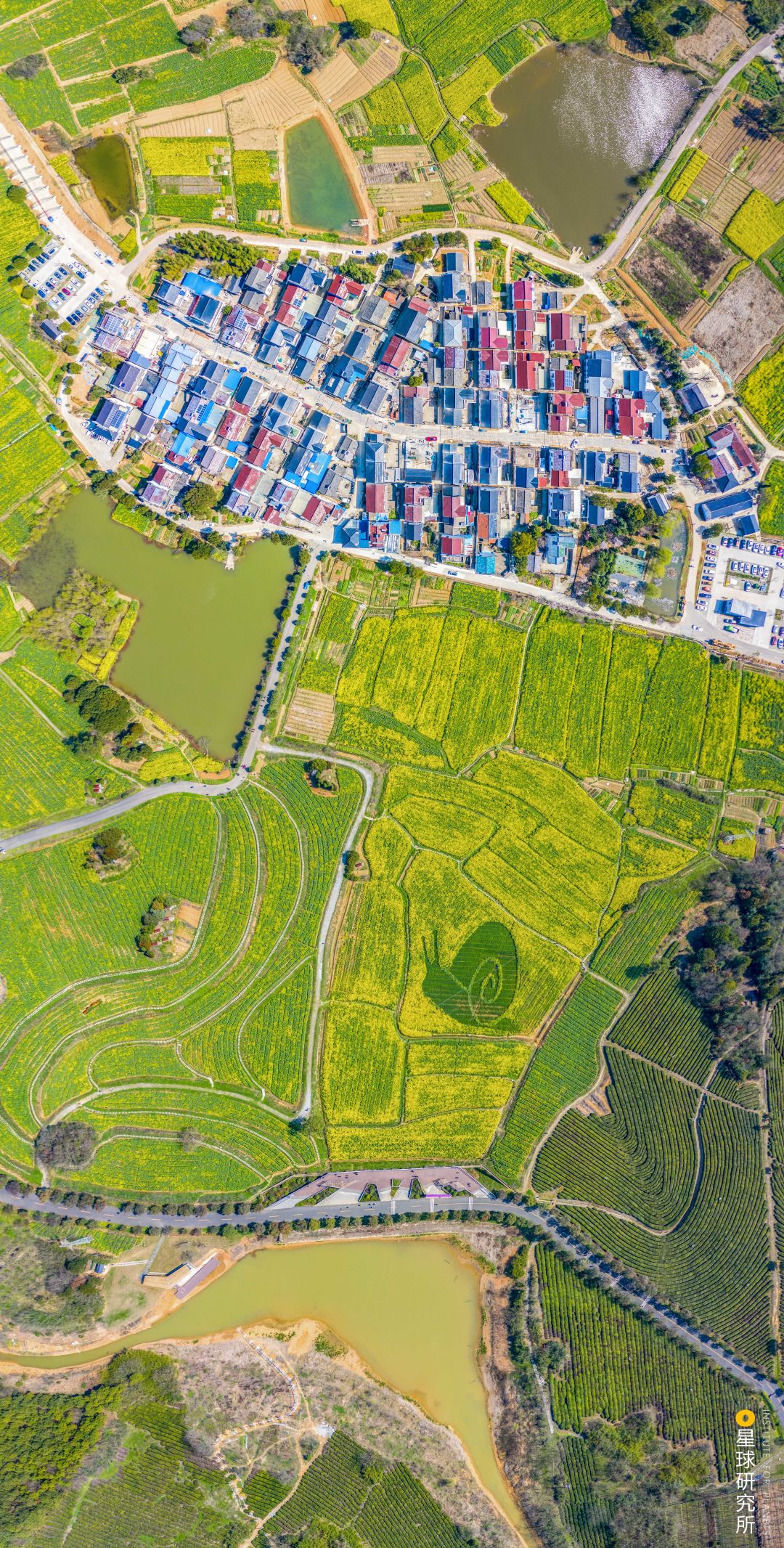 Image related to Why Gaochun, Nanjing Is Worth a Visit