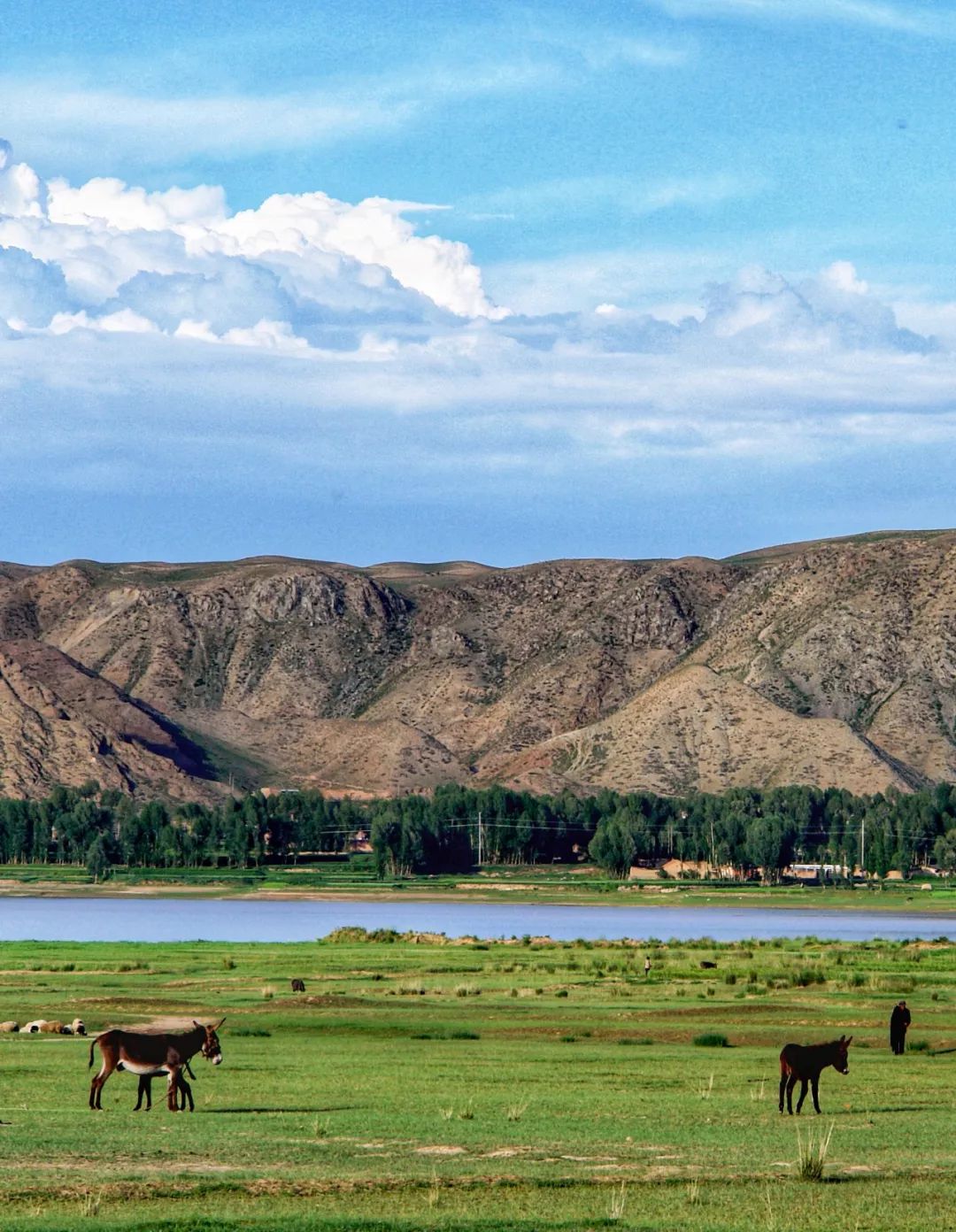 Image related to How Many Spectacular Landscapes Does Zhangye, Gansu Offer?
