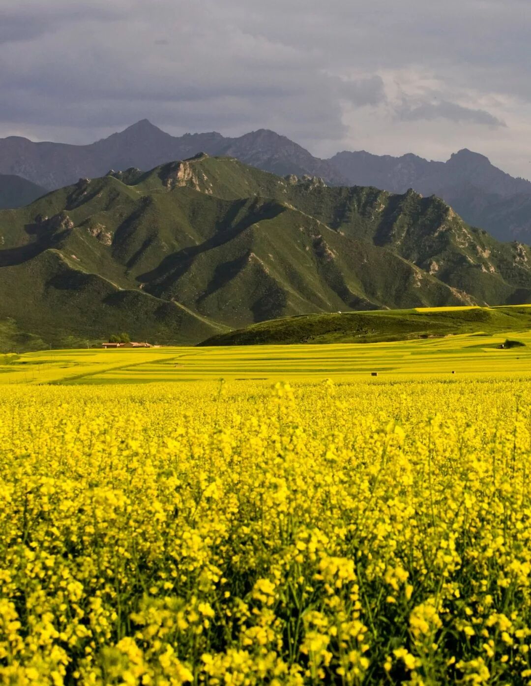 Image related to How Many Spectacular Landscapes Does Zhangye, Gansu Offer?